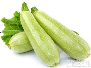 吃白瓜觉得苦,探寻苦中寻甘的饮食哲学