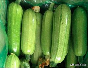 佛手瓜与西葫芦一起吃,营养互补的养生佳肴