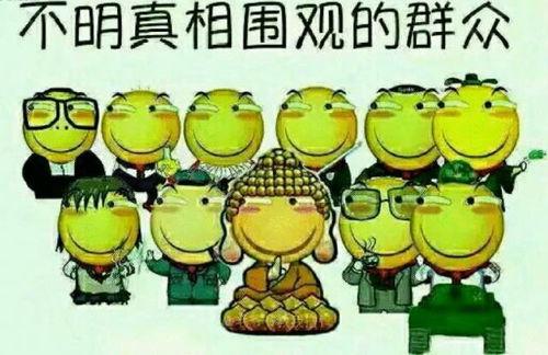 德吉吃瓜群众,吃瓜群众的智慧与趣味