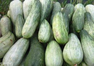 棱瓜老了怎么吃